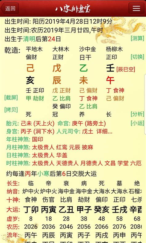 八字排盘分析